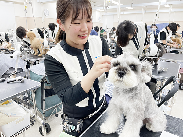 ☆先輩のトリミングを見学☆